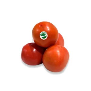 Tomate chonto