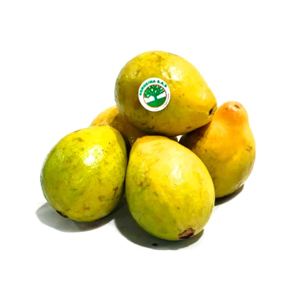 Guayaba pera