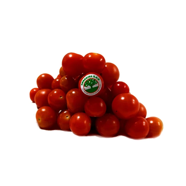 Tomate cherry